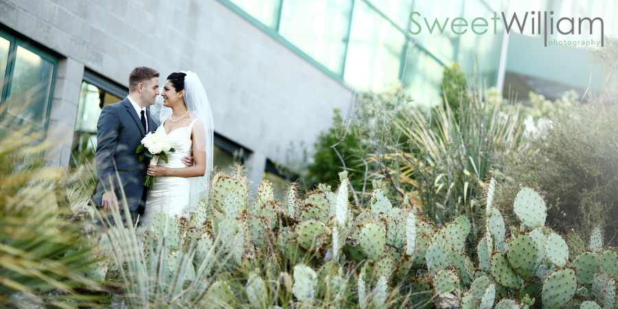 Joy And Asjha S Albuquerque Botanic Garden Wedding Sweet William