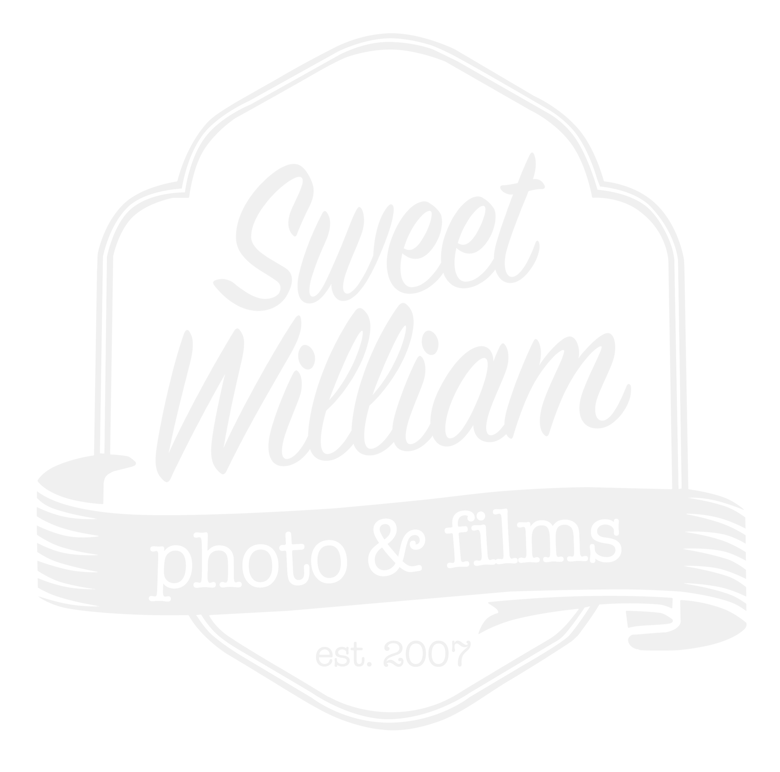 Sweet William Photo & Films